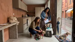 Viaggiare con cani e gatti: 10 dritte pratiche per partire sereni