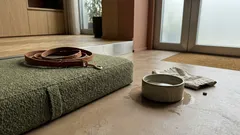 Perché parliamo con il cane o il gatto come fossero persone, secondo la psicologia