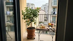 Bucce di mela per il limone: come interrarle per un concime naturale semplice