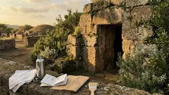 Rovine vive: perché i siti archeologici diventano micro-habitat per piante e animali