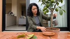 La pazienza è amara, ma il suo frutto è dolce: come restare nel processo senza mollare